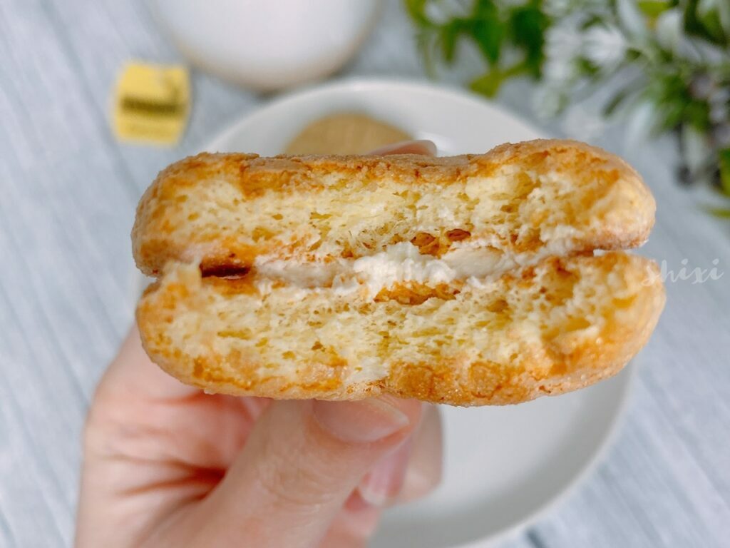 Amo 阿默 Bramo 達克瓦茲騎士IMG 8318