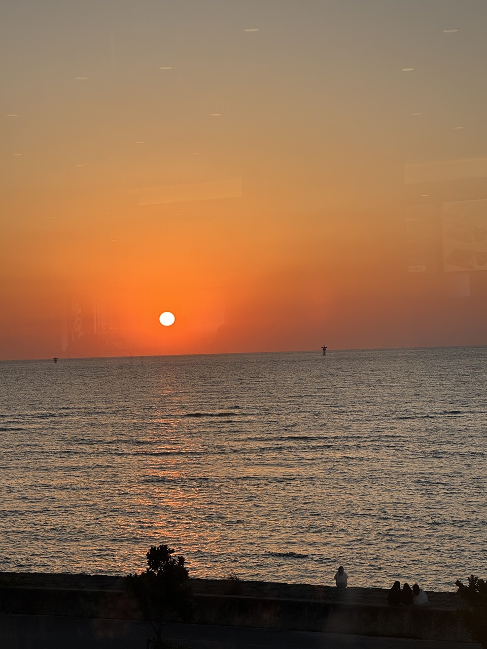 IMG 7627