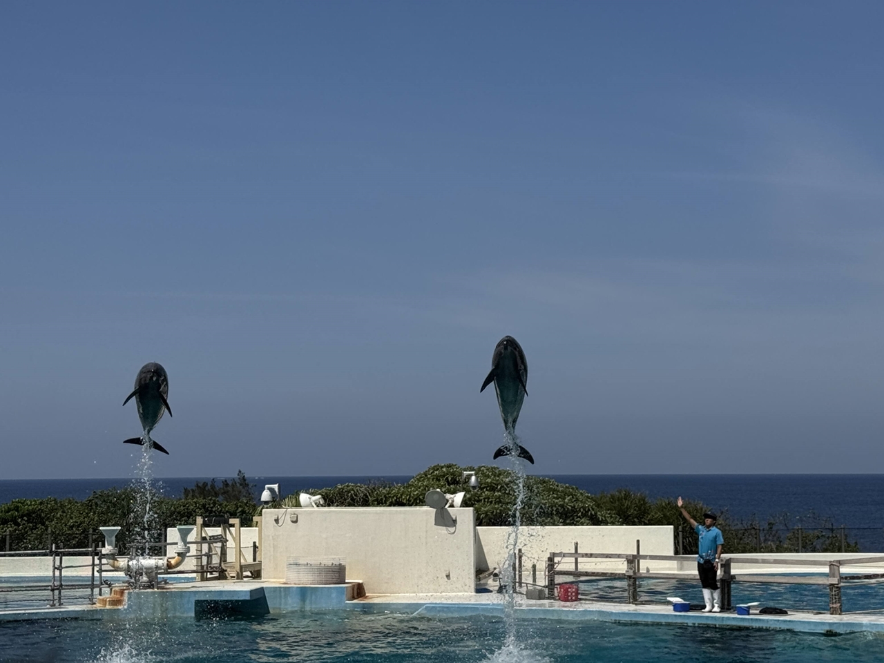 IMG 7657 1