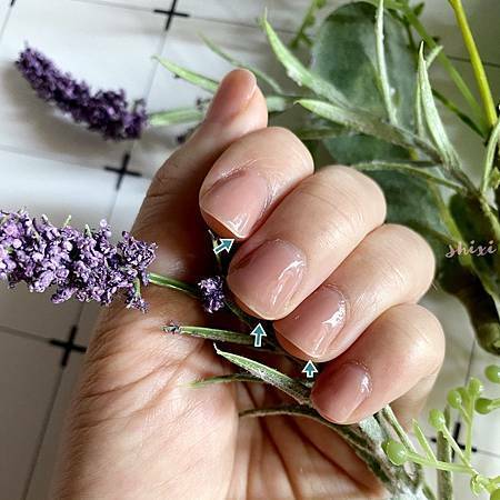 pic pimg tw lazylazylife 1631864166 1274204506 g m jpg