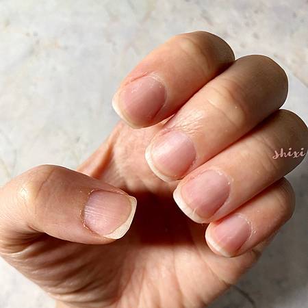 pic pimg tw lazylazylife 1632033981 2323759362 g m jpg